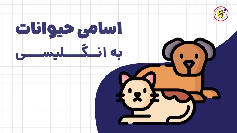 اسم حیوانات به انگلیسی